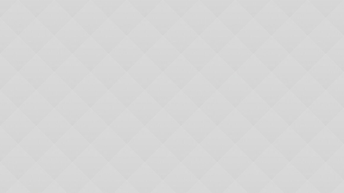 03 Professional Carwashing