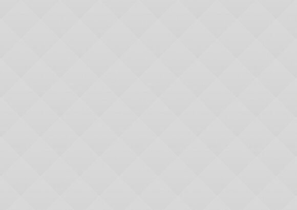 Professional Carwashing